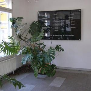 Eingangsbereich